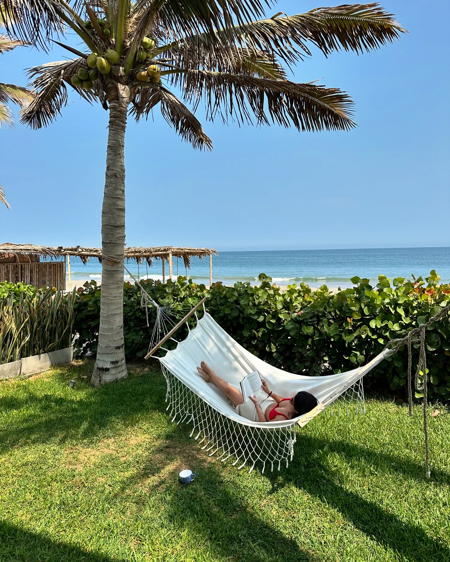 Descanso en hamaca frente a la playa