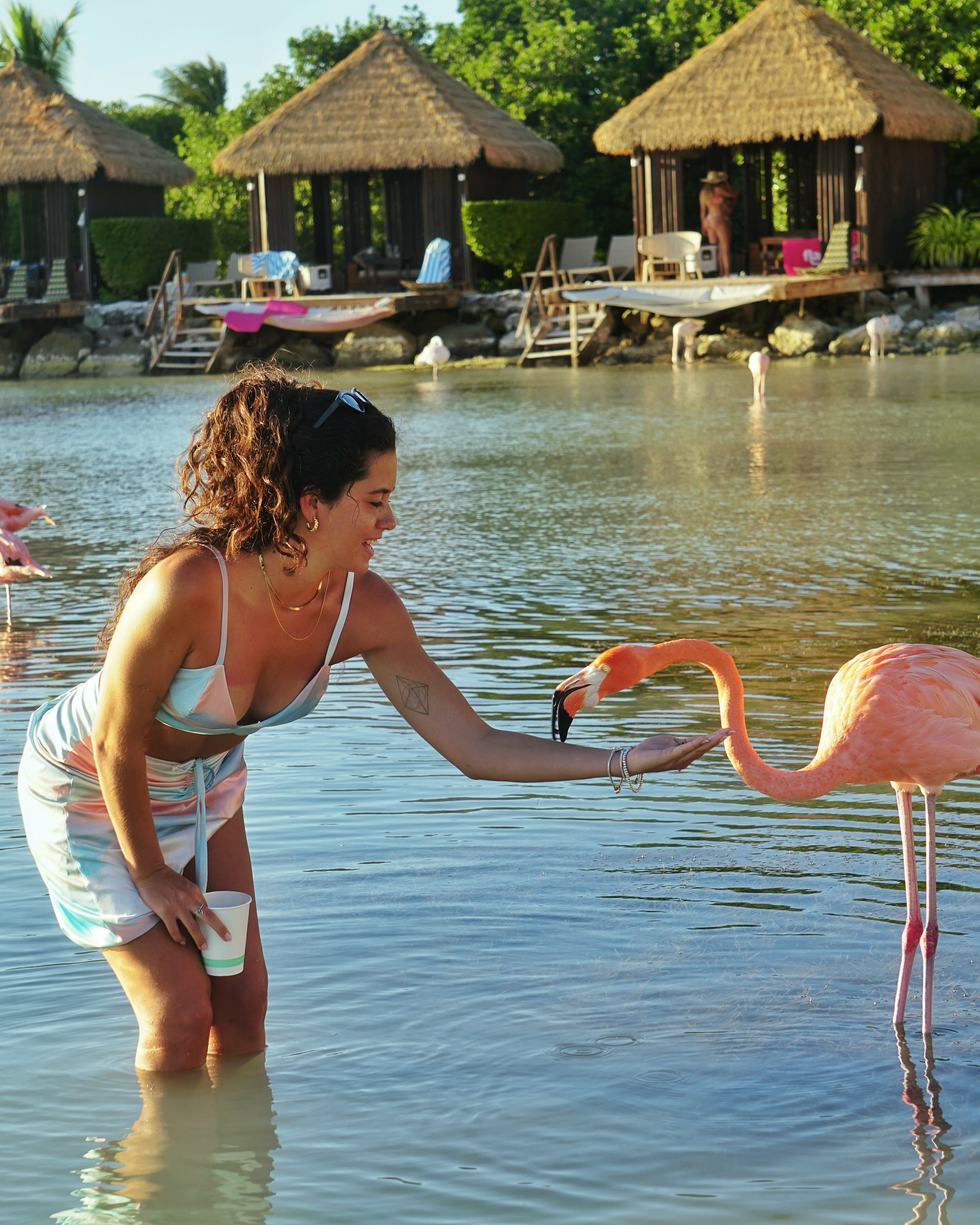 Experiencia con flamencos